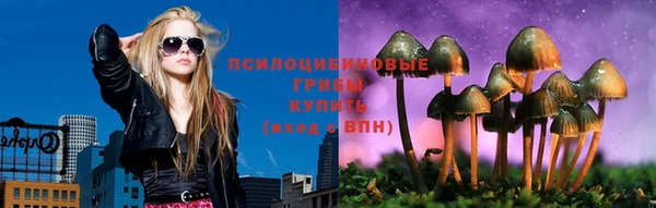 прущая мука Дмитров