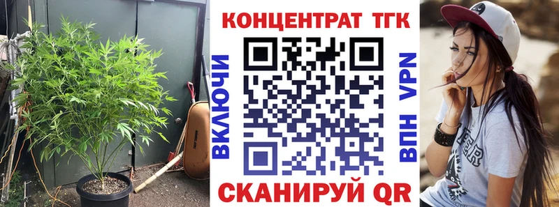 ТГК вейп omg рабочий сайт Севск цена